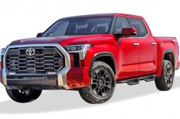 2022-2026 Toyota Tundra CrewMax, Premium Nerf Steps 2022-2026 Toyota Tundra CrewMax, Premium Nerf Steps