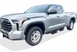 2022-2026 Toyota Tundra Double Cab, Premium ST-Series Nerf Steps